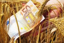 ΥπΑΑΤ: Πιστώνονται 683 εκ. ευρώ της βασικής ενίσχυσης σε αγρότες