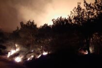 Υπερδιπλασιάστηκαν οι δασικές πυρκαγιές σε παγκόσμια βάση τα τελευταία 20 χρόνια