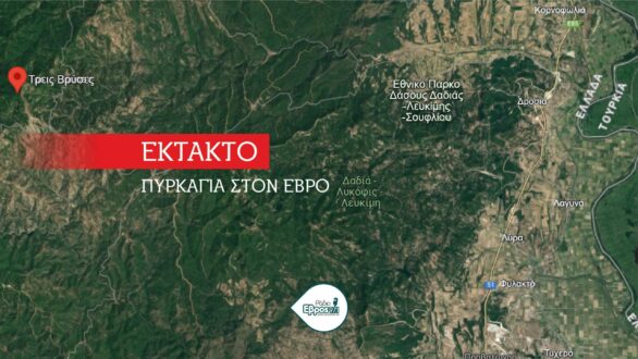 Φωτιά κοντά στο δάσος της Δαδιάς – Οριοθετήθηκε άμεσα – Επιχειρούν 12 οχήματα και 40 πυροσβέστες από όλο τον Έβρο