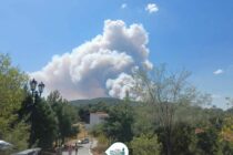 Έβρος: Έκτη μέρα καταστροφικών πυρκαγιών – SOS εκπέμπει η Δαδιά