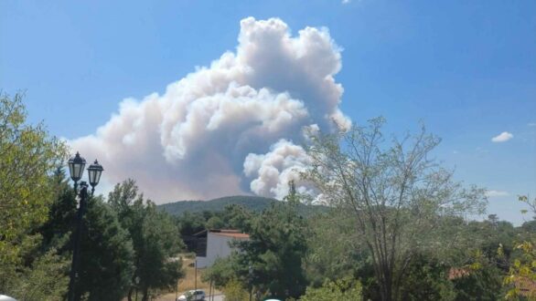 Έβρος: Έκτη μέρα καταστροφικών πυρκαγιών – SOS εκπέμπει η Δαδιά