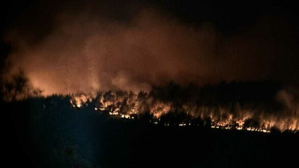 Σουφλί: Σε κατάσταση έκτακτης ανάγκης οι πυρόπληκτες περιοχές