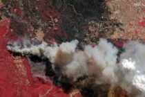 Φωτιά στην Αλεξανδρούπολη: Σοκαριστικές φωτογραφίες από δορυφόρο αποκαλύπτουν το μέγεθος της καταστροφής