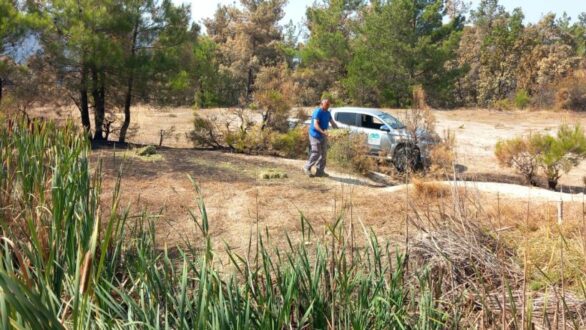 ΟΦΥΠΕΚΑ: Δράσεις προστασίας της άγριας πανίδας σε Πάρνηθα και Έβρο