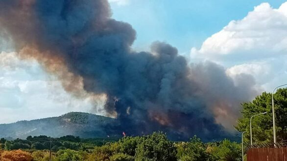 16η ημέρα πυρκαγιών στον Έβρο – Με ισχυρές δυνάμεις συνεχίζεται η κατάσβεση