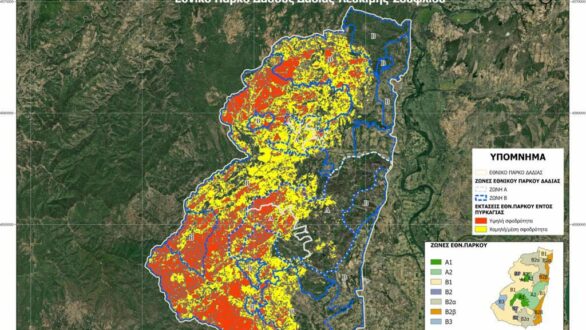 ΥΠΕΝ: Ξεκίνησε η αποτίμηση των επιπτώσεων στο Εθνικό Πάρκο Δάσους Δαδιάς – Στο 58% η καμένη έκταση