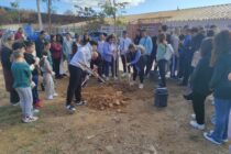 Συμβολική δενδροφύτευση κοντά στο δημοτικό σχολείο Παλαγίας πραγματοποίησαν μαθητές του 7ου Λυκείου Καλαμαριάς