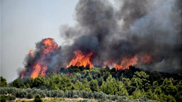 Σε πολύ υψηλό κίνδυνο πυρκαγιάς και σήμερα, Παρασκευή ο Έβρος