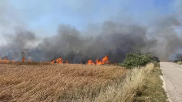 Δασική πυρκαγιά στα Aμπελάκια Ροδόπης – Ήχησε το 112