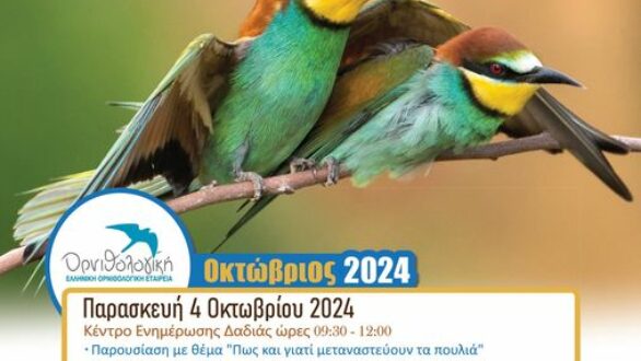 «Γιορτή Πουλιών 2024» στη Δαδιά και στην Ορεστιάδα